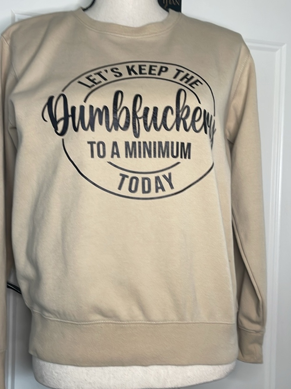 Graphic Crewneck Sweatshirt in Beige with Black Script